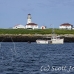 lighthouse_island_seal_machias_h_2303_can1009.jpg